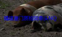 福建厦门质检院牵头NQI集成服务基地试点项目获批